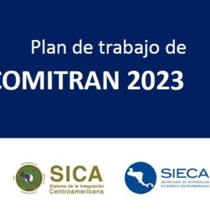 Plan de Trabajo - COMITRAN 2023