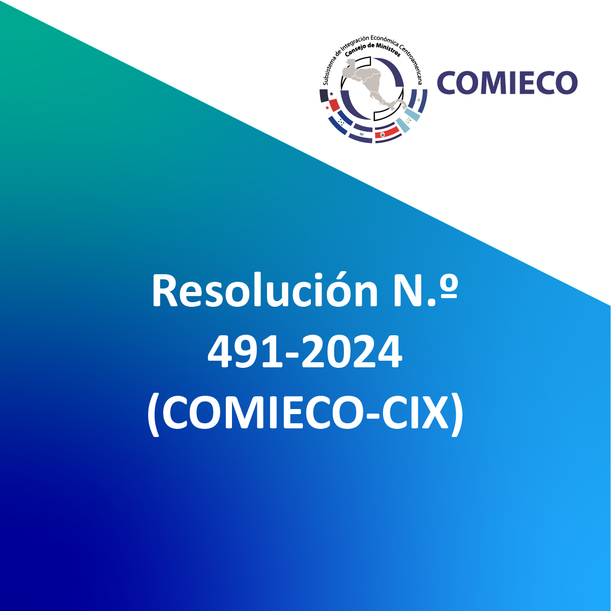 Resolución N.º 491-2024 (COMIECO-CIX)